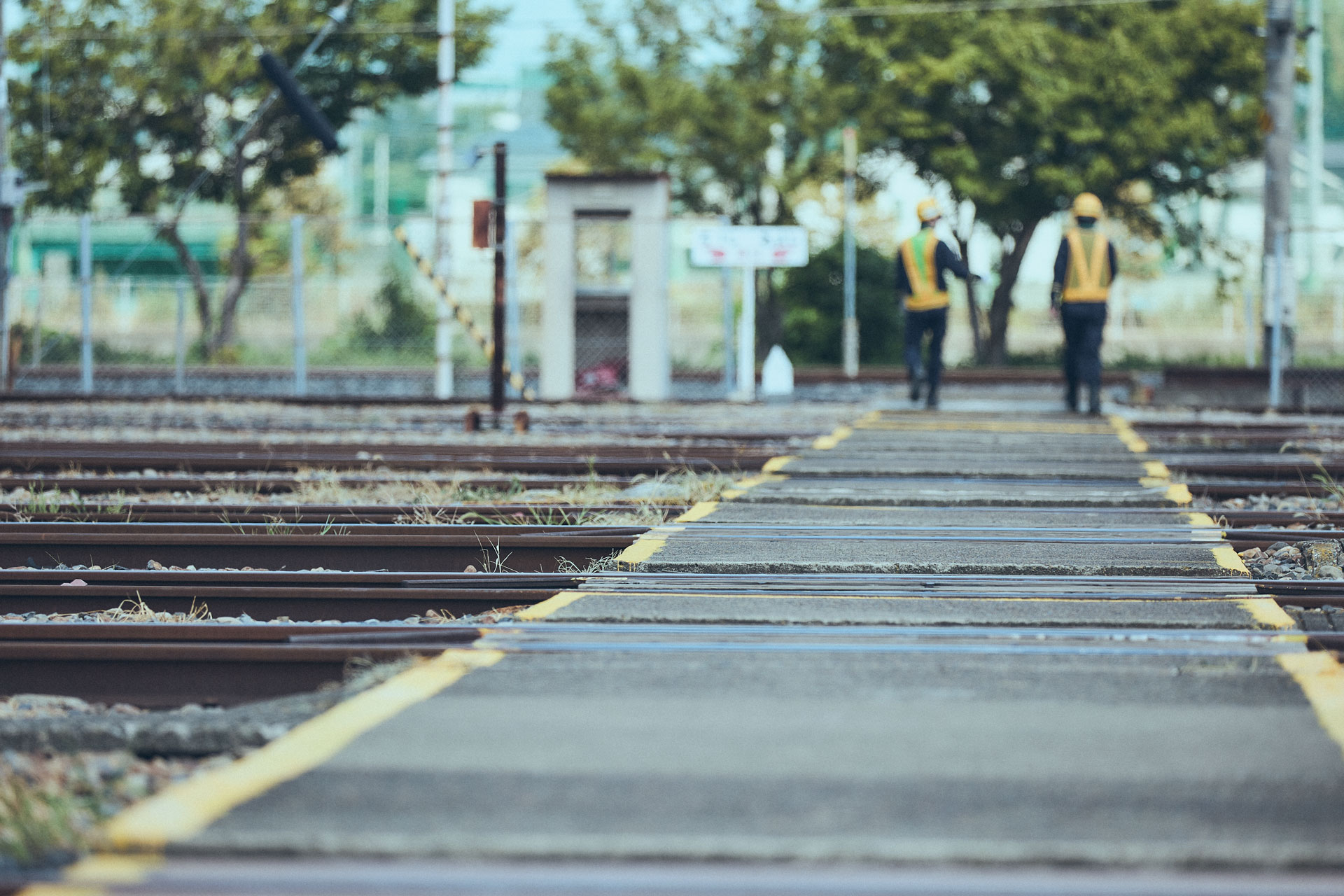 GENICHI ブランディング